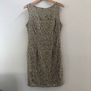 Super Cute Sequin Lace Dress